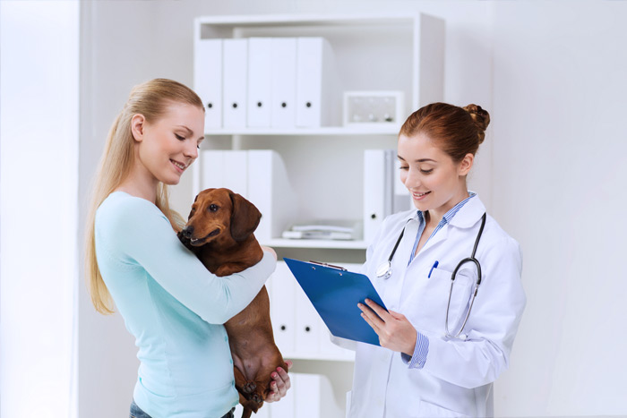 ЭЦП для оформления ветеринарных сертификатов (ГИС Меркурий) в Целине